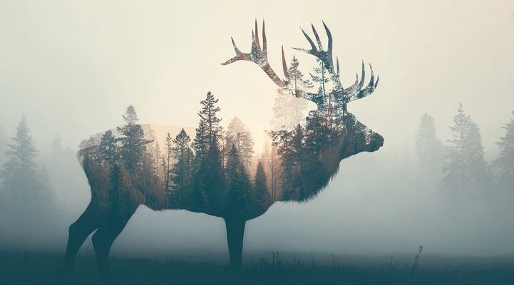 Double exposure: Animal silhouette fused with natural elements